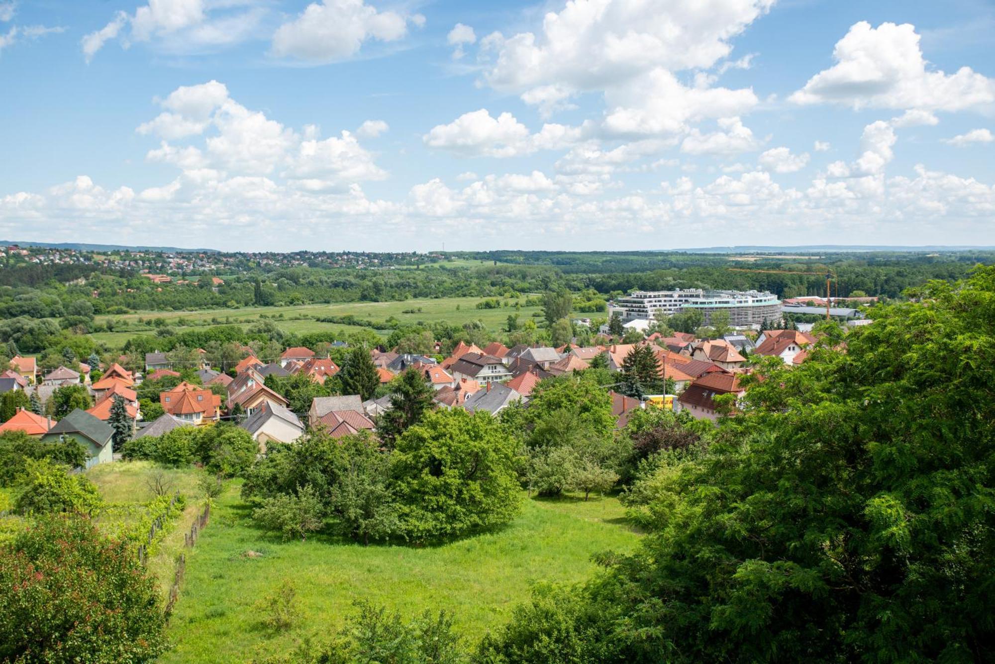 Flora Villa Хевиз Экстерьер фото