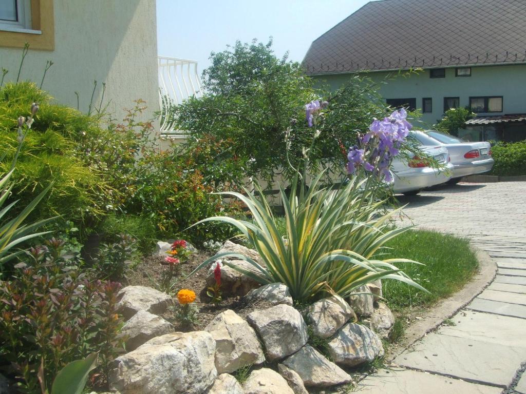 Flora Villa Хевиз Экстерьер фото